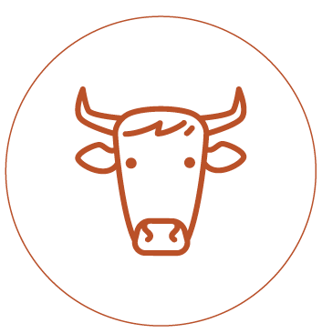 Microleasing fund